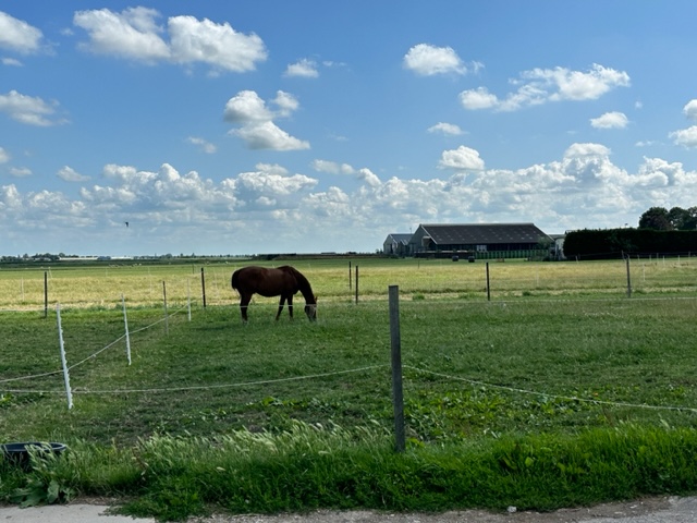 Weiland